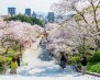 nishi-park